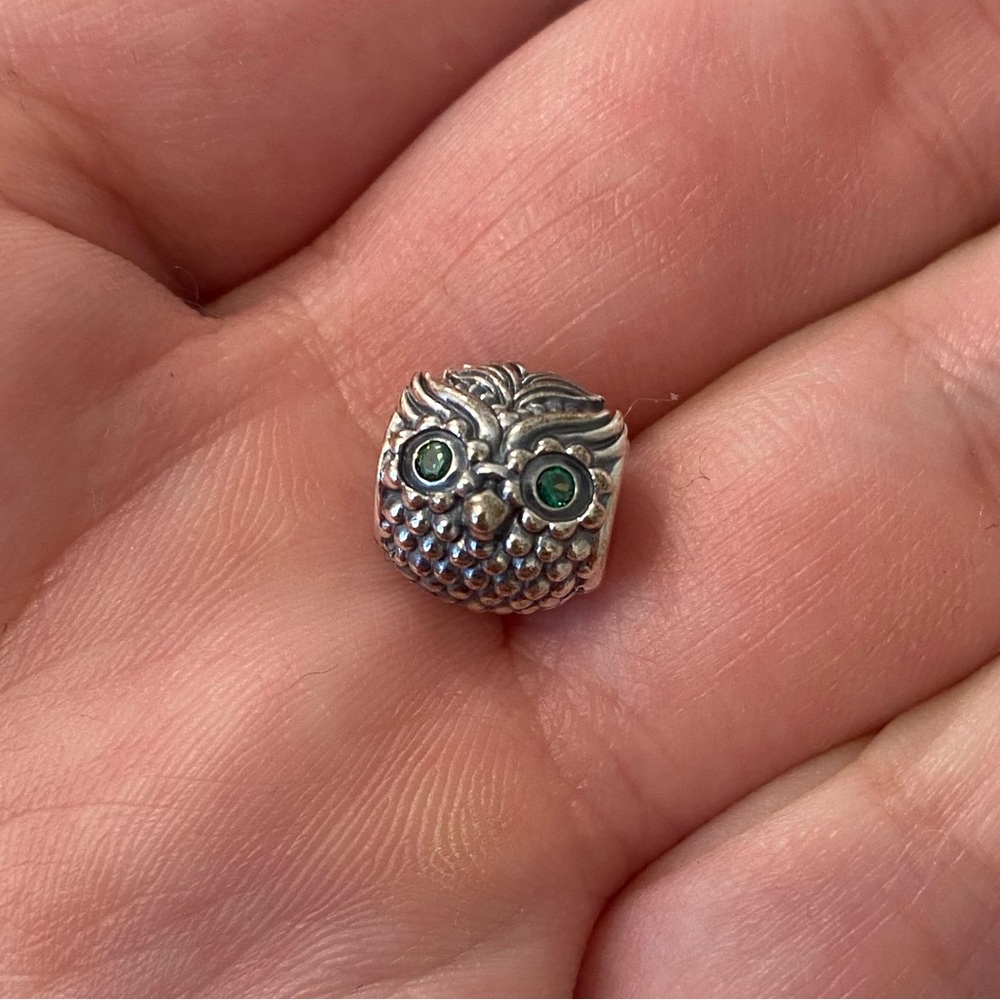 Pandora Wise Owl Charm!